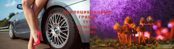 гидропоника Аркадак