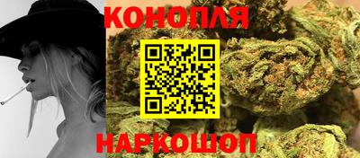 гашик Кимры